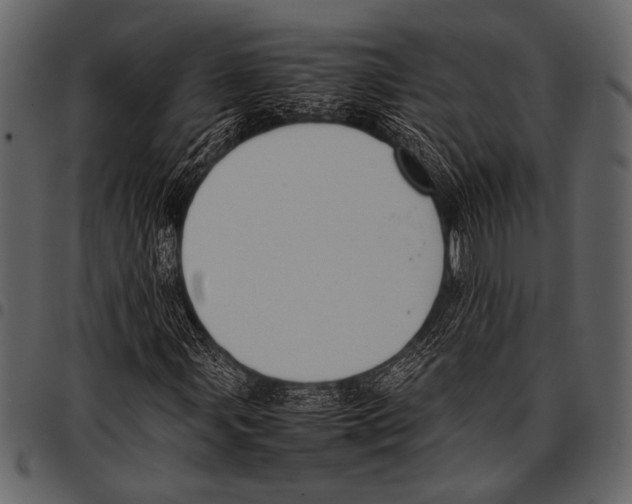 X0000097481107200803201503