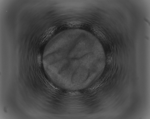 X0000097481108200803201503