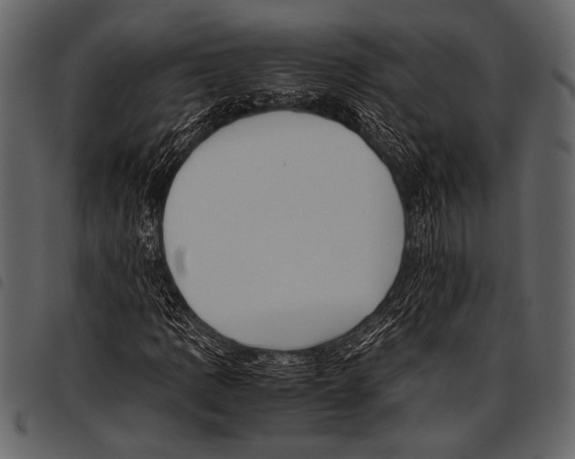 X0000097481109200803201503