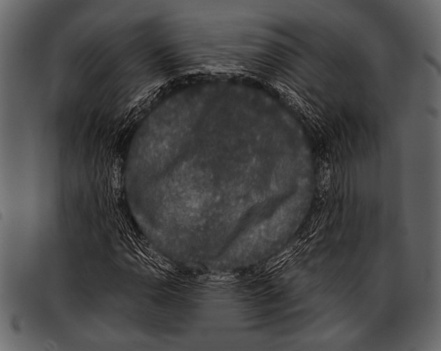 X0000097481110200803201503