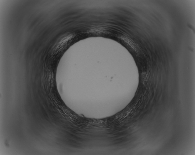 X0000097481111200803201503