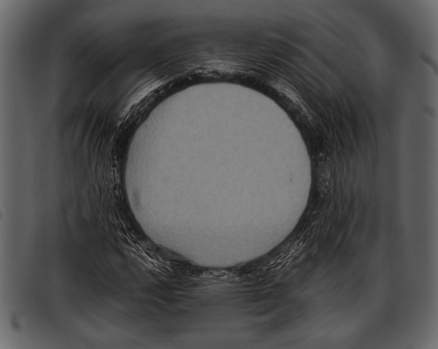 X0000097481112200803201503