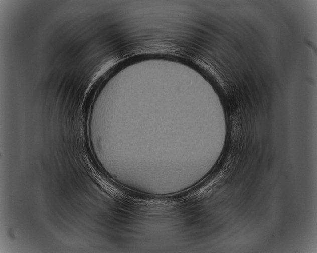 X0000097481114200803201503