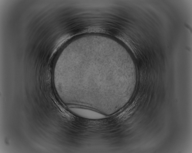 X0000097481115200803201503