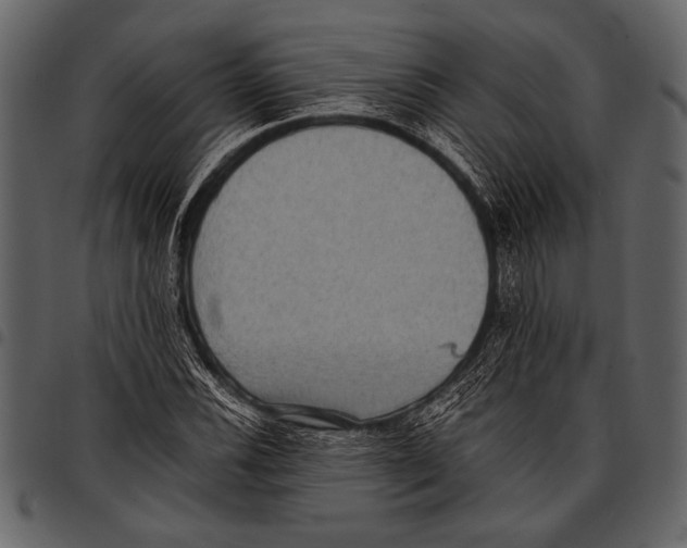 X0000097481116200803201503