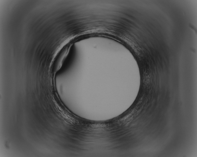 X0000097481118200803201503