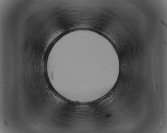 X0000097481119200803201503