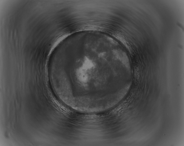 X0000097481120200803201503