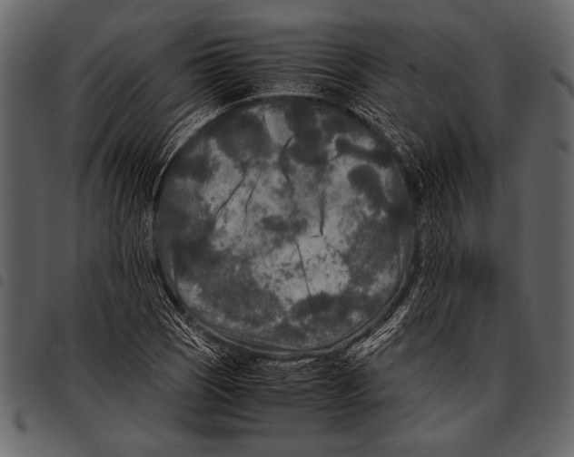 X0000097481121200803201503