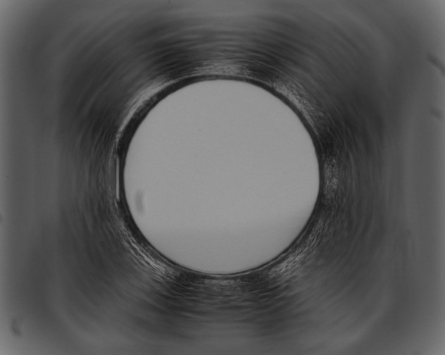 X0000097481123200803201504