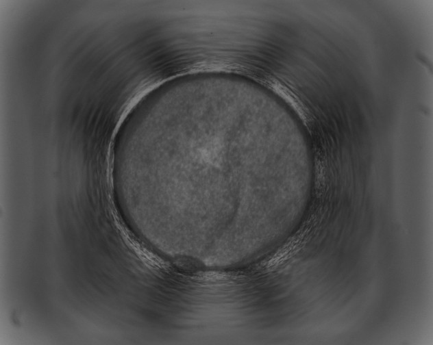 X0000097481124200803201504