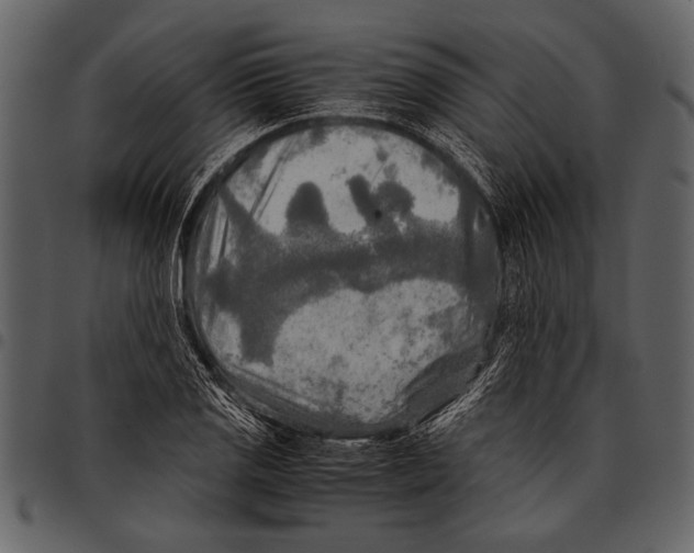 X0000097481125200803201504