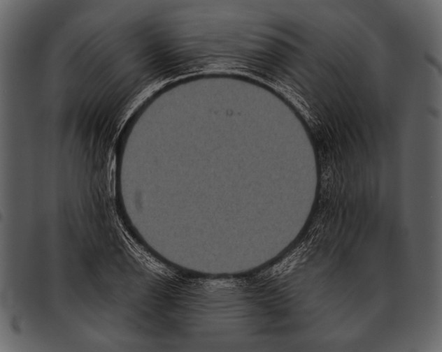 X0000097481126200803201504