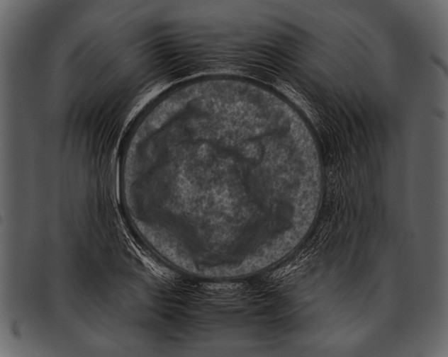 X0000097481127200803201504