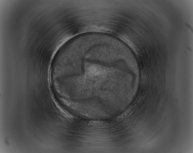 X0000097481128200803201504