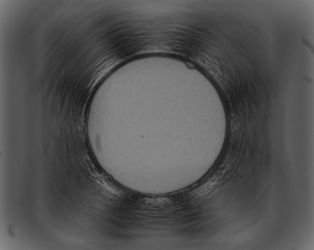 X0000097481129200803201504