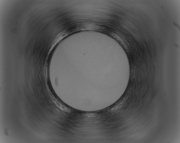 X0000097481130200803201504