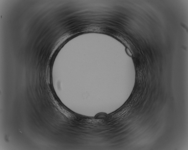 X0000097481131200803201504