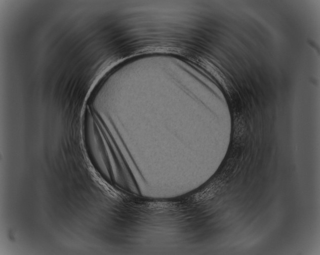 X0000097481132200803201504