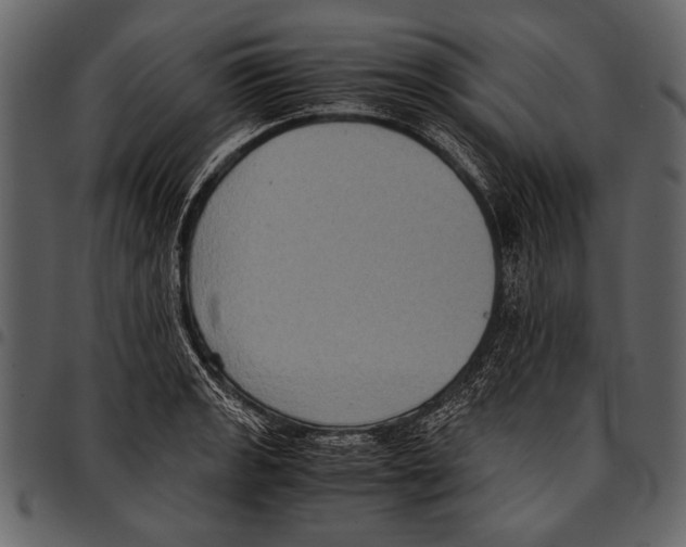 X0000097481133200803201504