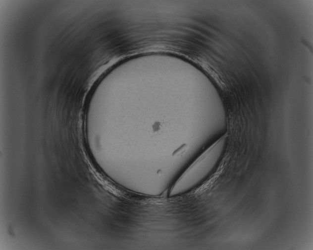 X0000097481134200803201504