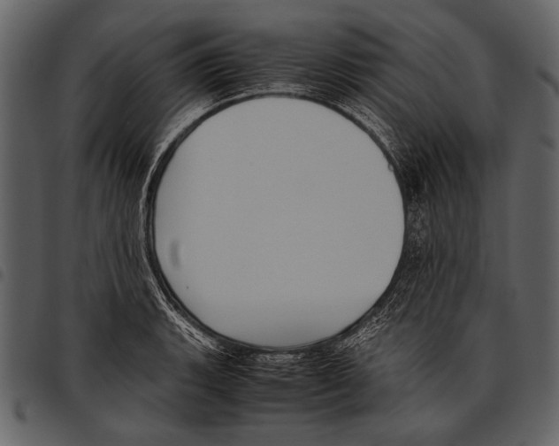 X0000097481135200803201504