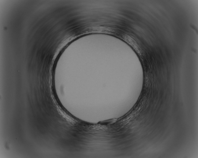 X0000097481136200803201504