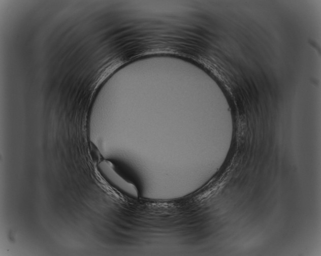 X0000097481137200803201504