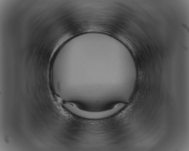 X0000097481138200803201504