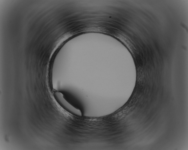 X0000097481139200803201504