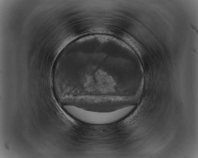 X0000097481141200803201504