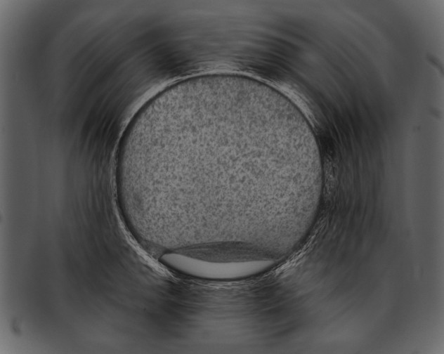 X0000097481142200803201504