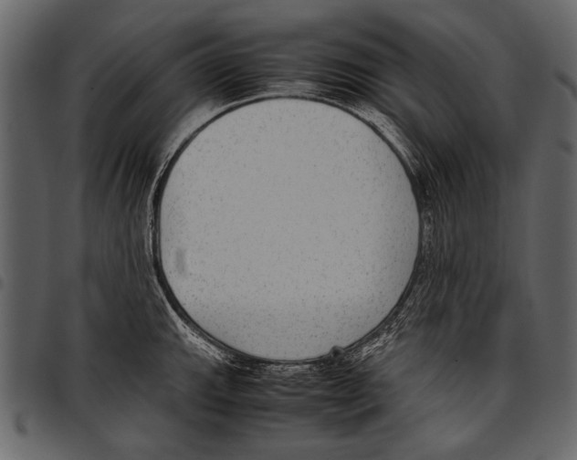 X0000097481143200803201504