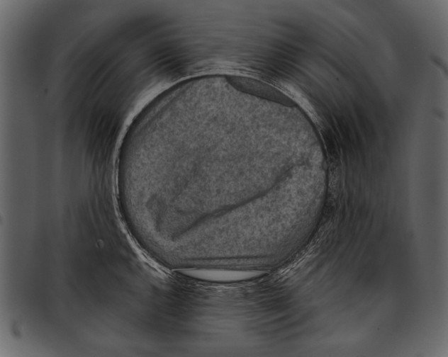 X0000097481144200803201504