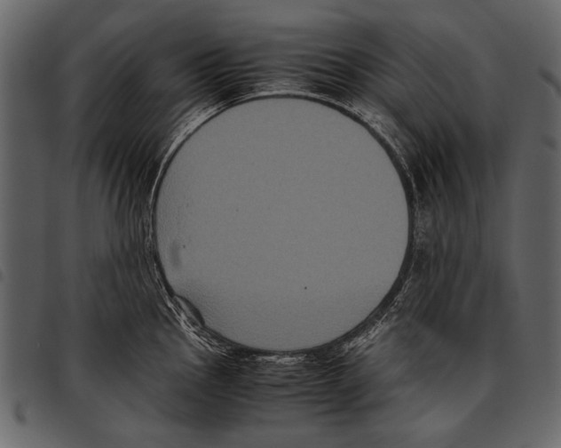 X0000097481145200803201504