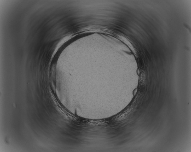 X0000097481146200803201504