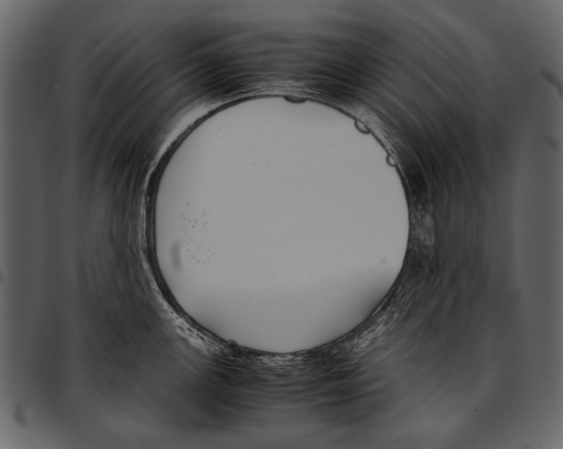 X0000097481147200803201504