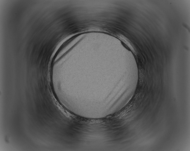 X0000097481148200803201504