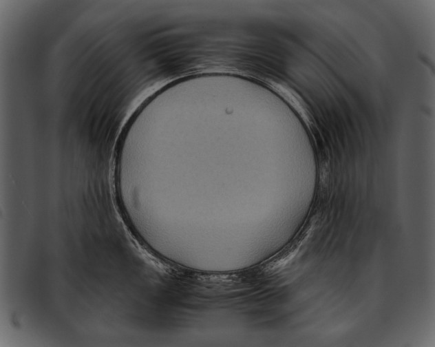 X0000097481149200803201504