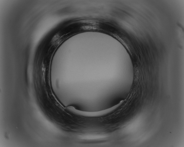 X0000097481151200803201504