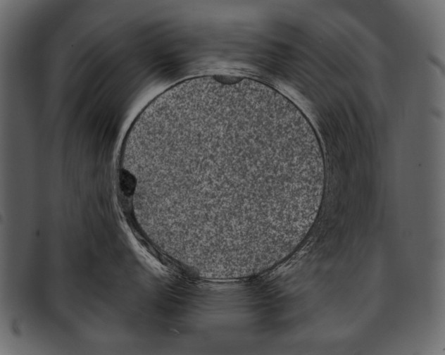 X0000097481152200803201504