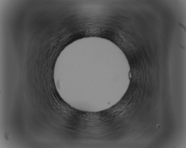 X0000097481153200803201503