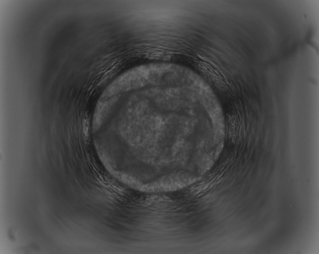 X0000097481154200803201503