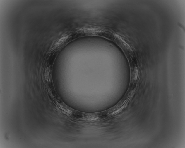 X0000097481157200803201503