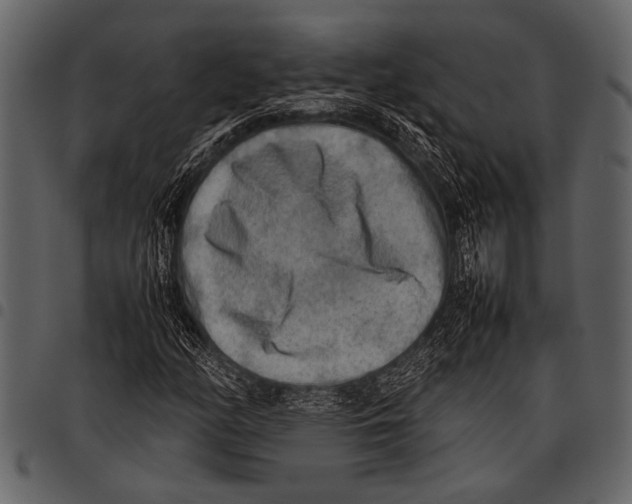 X0000097481158200803201503