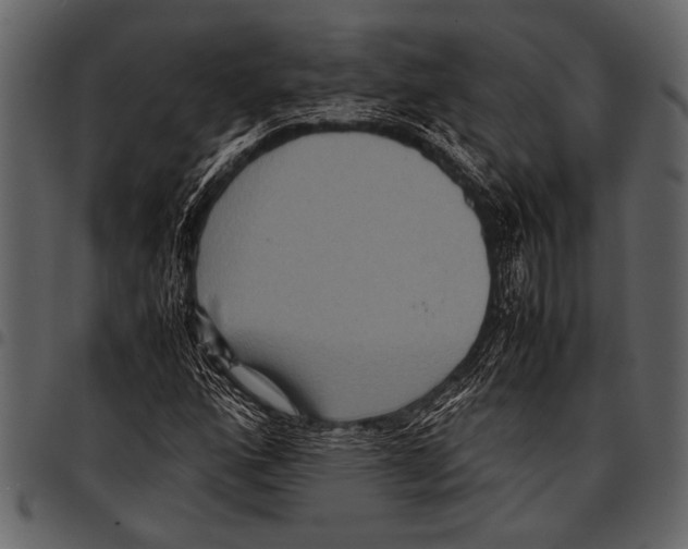 X0000097481160200803201503