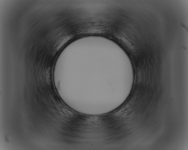 X0000097481162200803201503