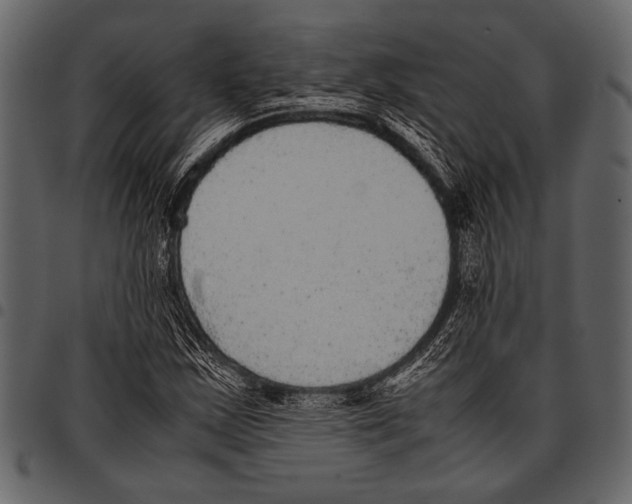 X0000097481163200803201503