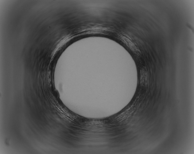 X0000097481164200803201503