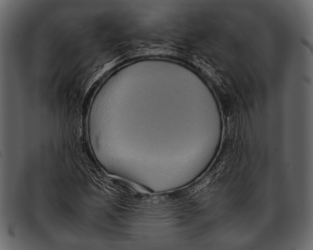 X0000097481165200803201503